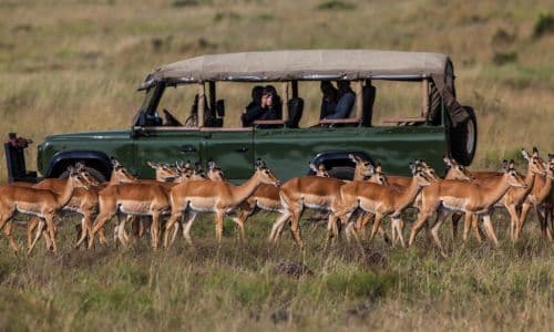 Tanzania